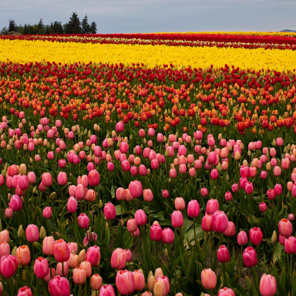 small business, business idea, village business, make money, small town business small business, business idea, village business, make money, small town business