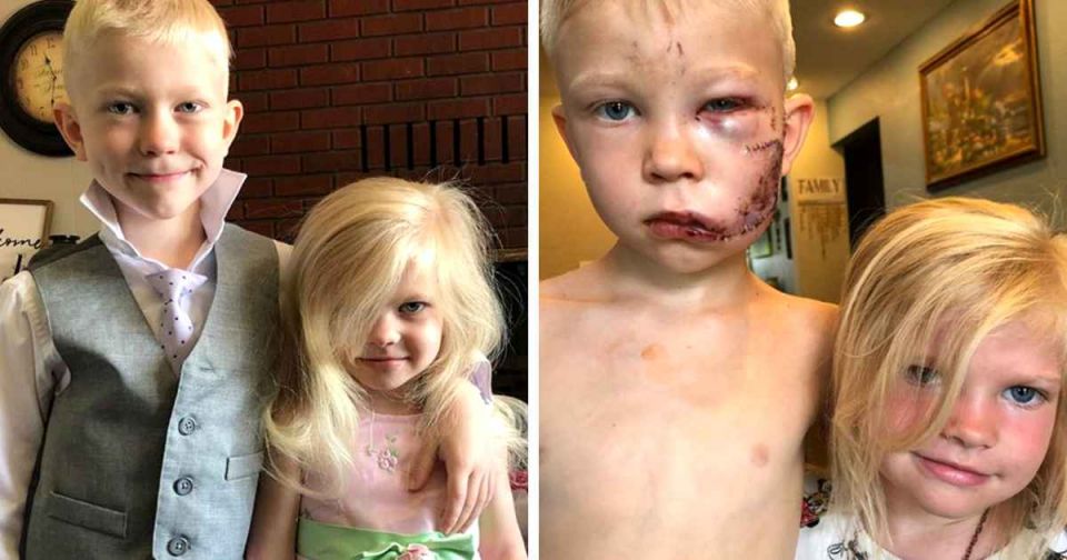 6-year boy Bridger, superheroes, A 6-year-old boy saved his 4-year-old sister from the dog., Bridger, marvel, captain America