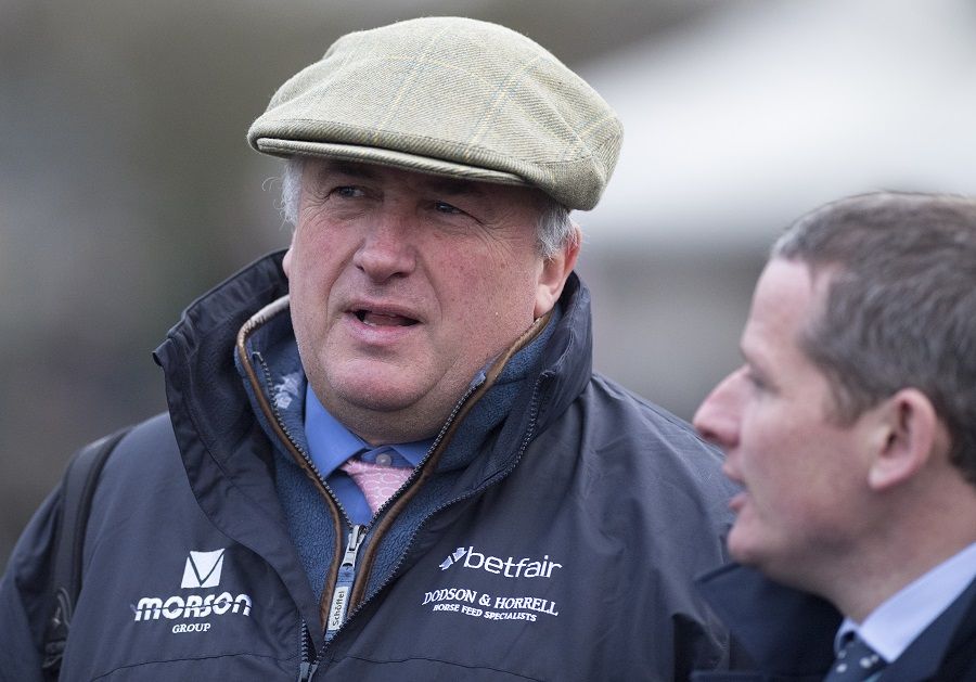 Talking Horses, Paul Nicholls, Coronavirus, Shiver Brook , Punchestown Celebration