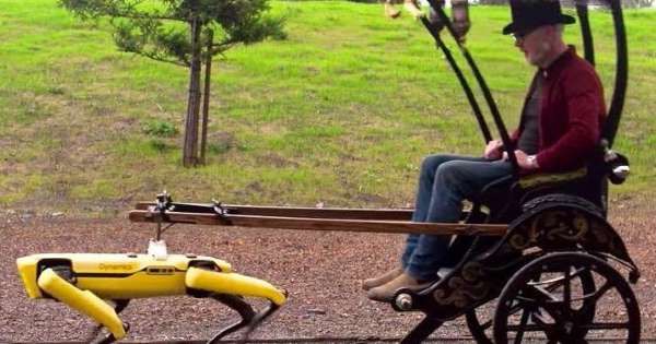 robot, robot dog, technology, Future Carts, Boston Elements, American TV character , Adam Savage , Amazing: Robot Dog