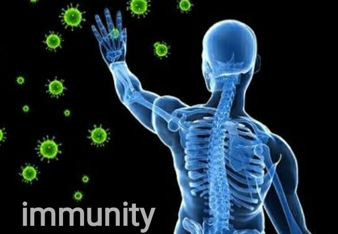 immune, immune system, types, Non-Specific innate immunity, Specific innate immunity immune, immune system, types, Non-Specific innate immunity, Specific innate immunity