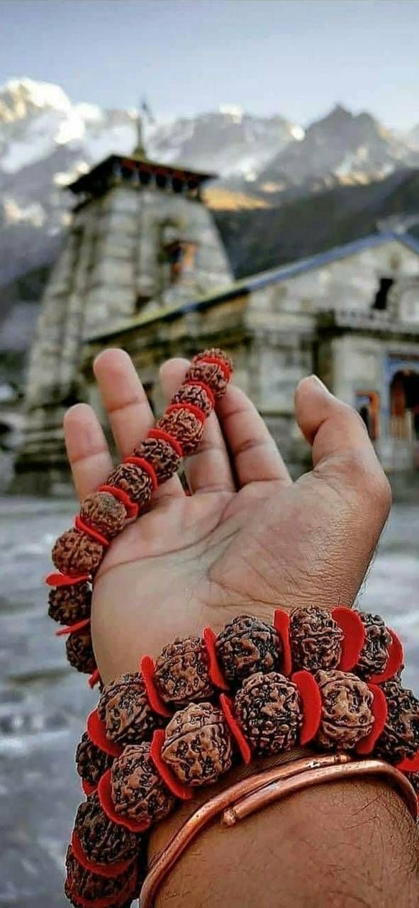 Rudraksha, Rudraksh, Shiv, Rudraksh Shiva, Shiva Rudraksha, Rudraksh Chain, Rudraksh Bracelet , Rudraksha Shiv Rudraksha, Rudraksh, Shiv, Rudraksh Shiva, Shiva Rudraksha, Rudraksh Chain, Rudraksh Bracelet , Rudraksha Shiv