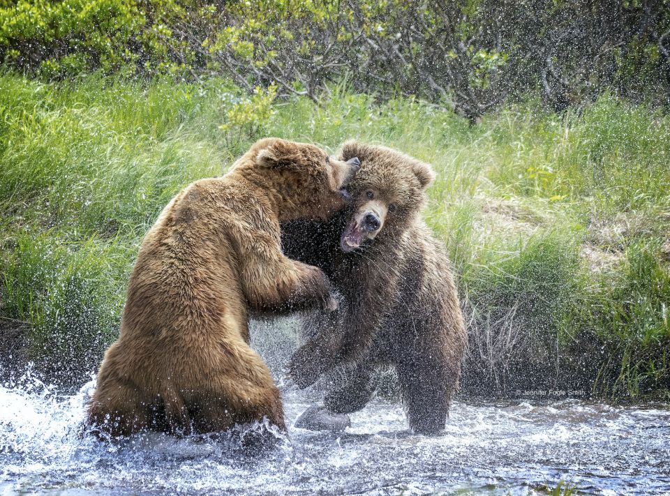World Photography Day, started in 1837, August 19, World Photography Day: Celebrations on 19th August 2020, world news, global news World Photography Day, started in 1837, August 19, World Photography Day: Celebrations on 19th August 2020, world news, global news