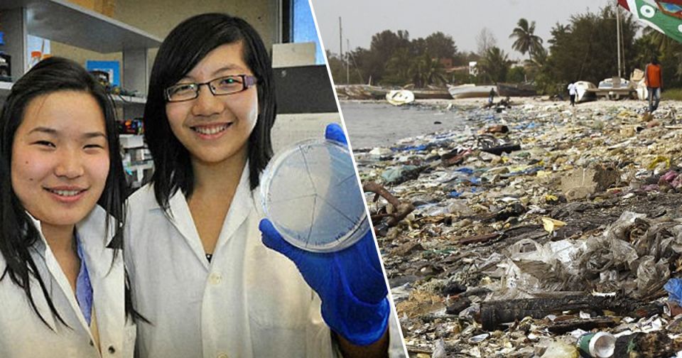 Plastic Eating Bacteria, scientists