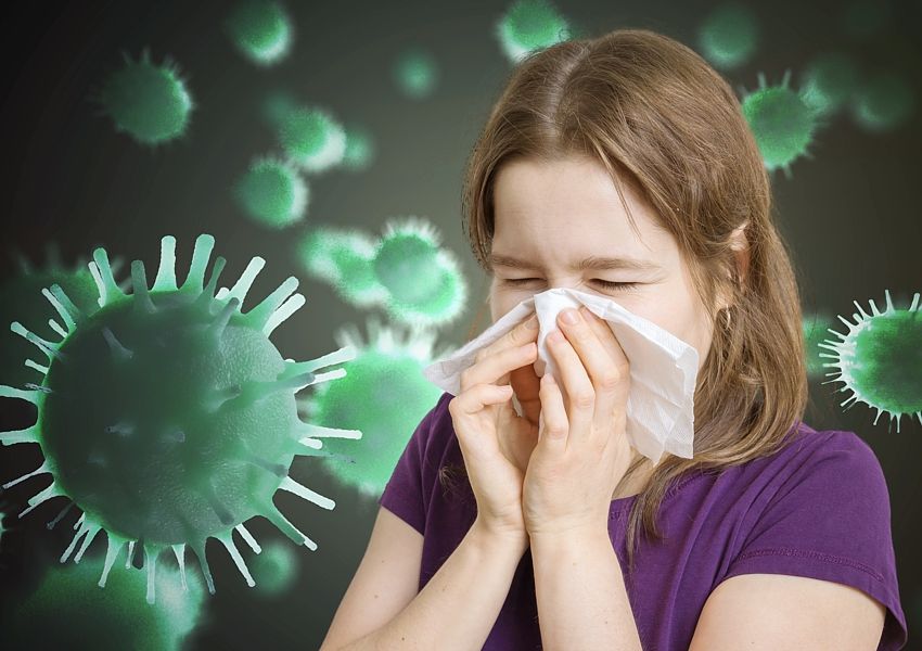 Rhinoviruses, common cold virus, vaccine, RNA,  researchers