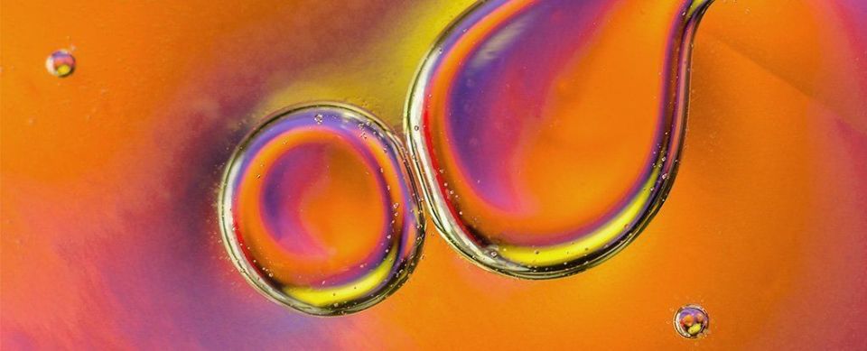 'photo sheets' , plants, process, Artificial Chemical Action, energy , fuel, SUN