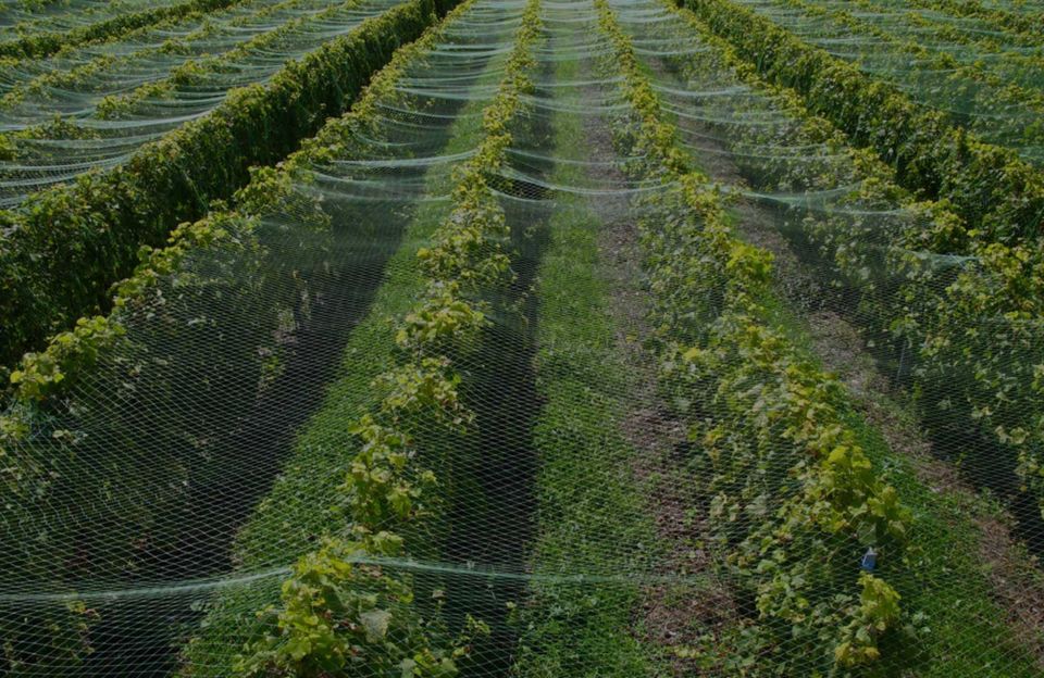 Rishi Techtex: Riding the Wave of India's Rising Stock Market, Rishi Techtex, india stock market Rishi Techtex: Riding the Wave of India's Rising Stock Market, Rishi Techtex, india stock market