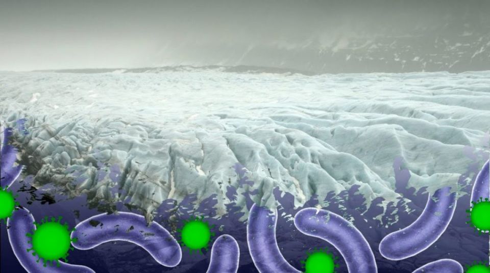 Disease, bacterial, viruses, ice, Alexander Fleming, viruses and bacteria, plague, small pox Disease, bacterial, viruses, ice, Alexander Fleming, viruses and bacteria, plague, small pox