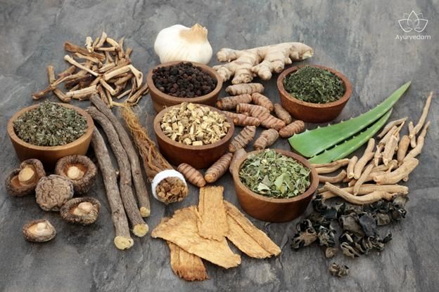 Ayurveda,  natural wellness,  herbal remedies,  traditional healing,  holistic living,  skincare,  handmade products,  community-driven,  mindful living,  ancient wisdom