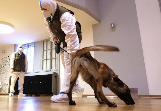 Coronavirus , Covid, Belgian shepherd canine, Austrian military , Wolf Kafka Coronavirus , Covid, Belgian shepherd canine, Austrian military , Wolf Kafka