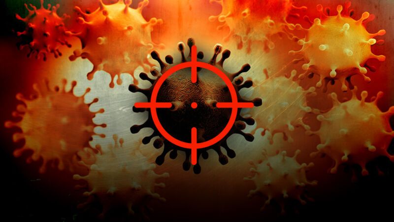 COVID-19, Immune system, health, SARS-CoV-2, virus COVID-19, Immune system, health, SARS-CoV-2, virus