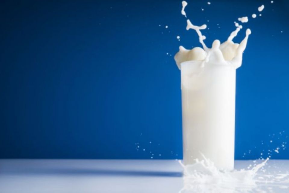 warm milk, amino acids, vitamin D, How milk is beneficial for health?