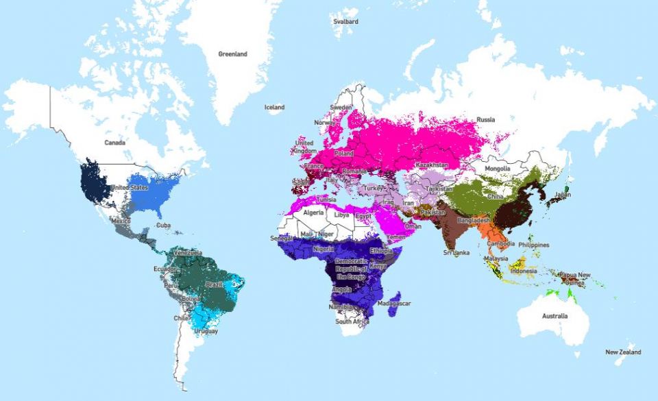 Which Tests Can Be Done to Confirm HIV Infection?, HIV Infection, Confirm HIV, Tests for HIV Infection