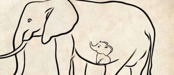 Elephant Kerala, Kerala Elephant, Elephant Crackers, Elephant Pineapple, elephant kerala