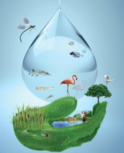 World Nature Conservation Day 2020, July 28, pandemic. , our Earth, Celebrated over the world, global news, world news World Nature Conservation Day 2020, July 28, pandemic. , our Earth, Celebrated over the world, global news, world news