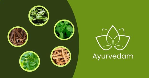 Ayurveda,  natural wellness,  herbal remedies,  traditional healing,  holistic living,  skincare,  handmade products,  community-driven,  mindful living,  ancient wisdom
