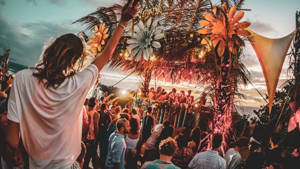 Ginger Flowers,  Rare Flowers,  Garden Bloom,  Unusual Flowers,  Horticulture,  Flowering Plants,  Botanical Gardens,  Rare Blooms,  Plant Discovery,  Garden Enthusiasts