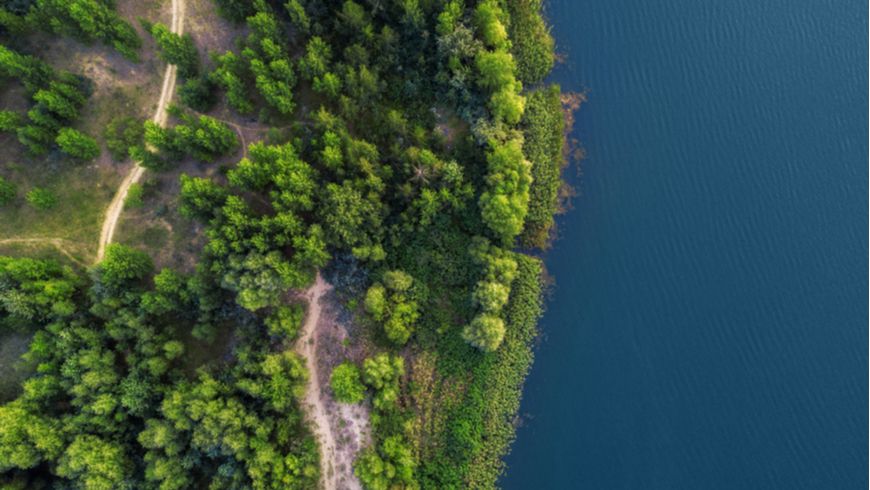 China, UN, United Nations , Donald Trump , Biodiversity