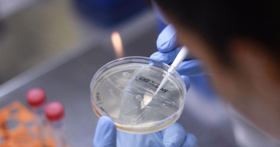 Covid-19 , vaccine, serum, Test, Bodily Fluid