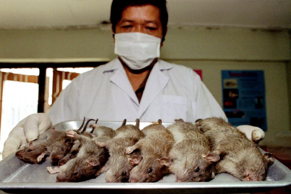 Bubonic Plague, bacterial infection, China, black death, Mongolia, plague bacteria