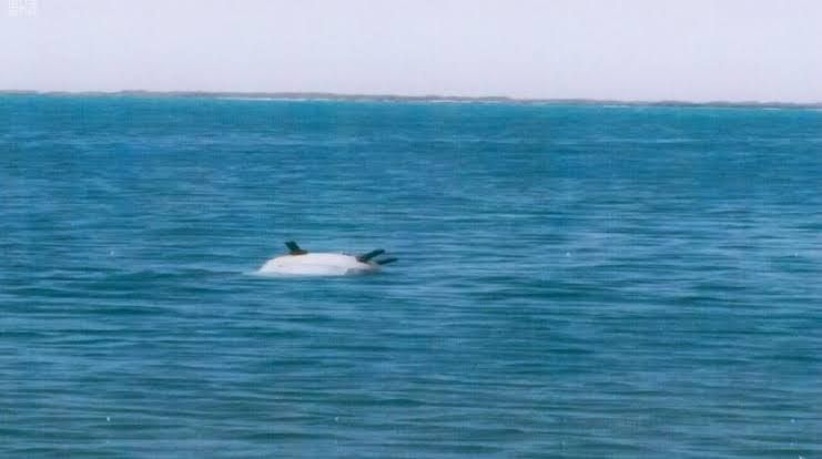 Naval force, TV, south, world, Red Ocean Naval force, TV, south, world, Red Ocean