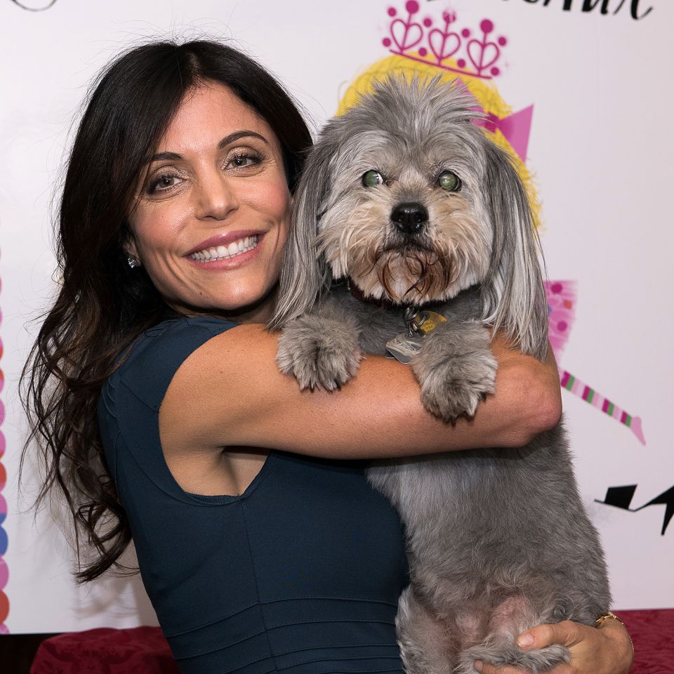 Frankel, hollywood , Genuine Housewives,  red Christmas tree.