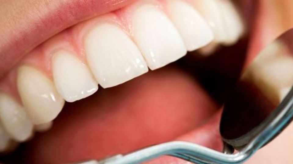 sheik Gavai , 232 teeth, mouth, 232 teeth in mouse, multiple teeth, teeths