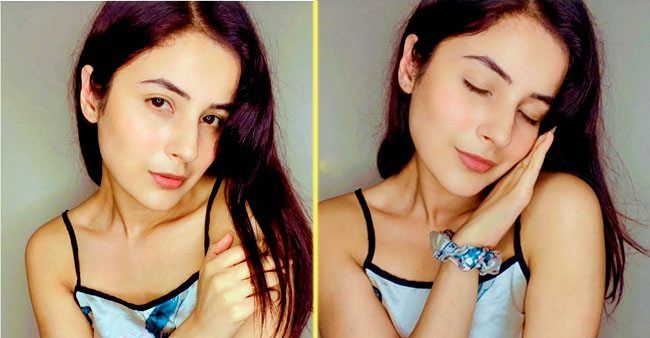 Bigg Boss , Shehnaaz gill, weight , loss, WHO Bigg Boss , Shehnaaz gill, weight , loss, WHO