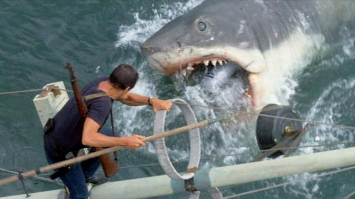 10 year boy, tasmania, cape cod, shark , shark attack, father, white shark, birthday celebraion, grabbed, fishing 10 year boy, tasmania, cape cod, shark , shark attack, father, white shark, birthday celebraion, grabbed, fishing