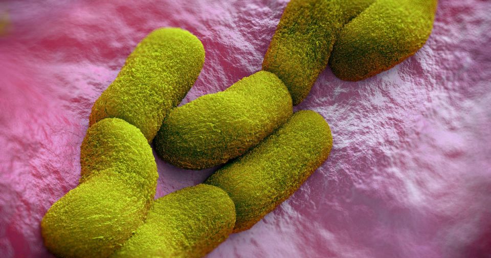 plague , WHO, American state, Dr. metropolis Williams, California plague , WHO, American state, Dr. metropolis Williams, California