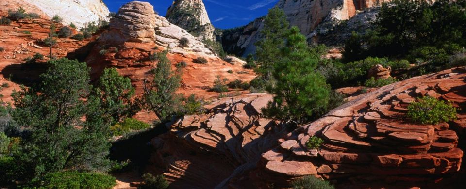 drive and stop any place , Resorts,  RV Camping, RV, Cara van