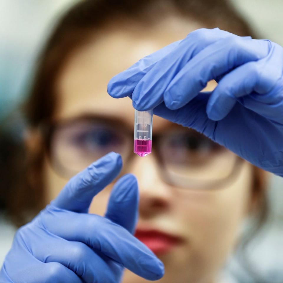 corona, covid-19, shrewd game', uk, will corona go?, when will corona end, when will we get vaccine for corona virus, will corona be killed?, will covid-19 be killed?, when will vaccine get launched corona, covid-19, shrewd game', uk, will corona go?, when will corona end, when will we get vaccine for corona virus, will corona be killed?, will covid-19 be killed?, when will vaccine get launched