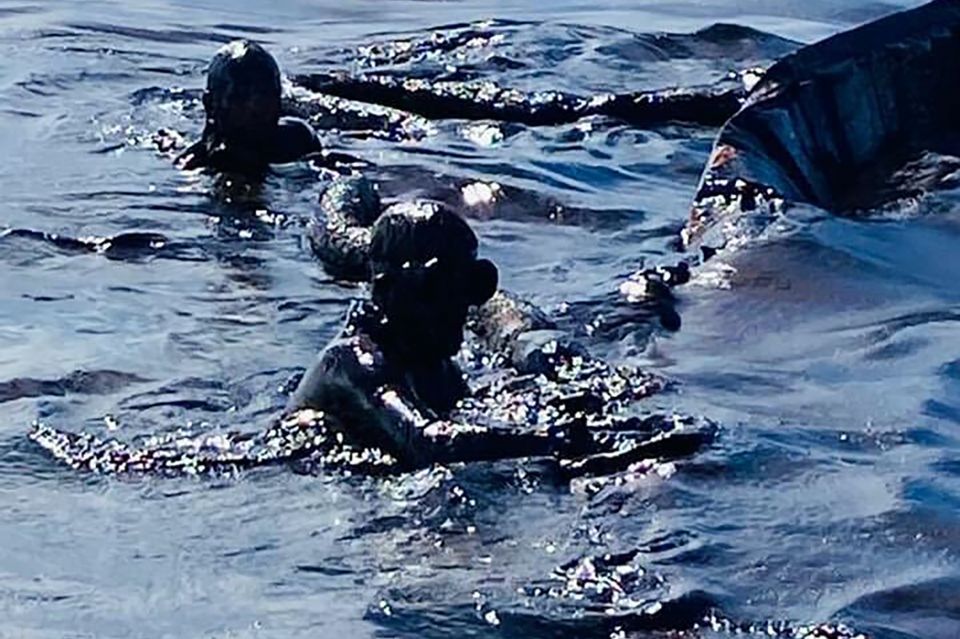 Mauritius, Oil Spills, Grounded Bulk Carrier, Japan's Nagashiki Shipping, dugout fuel, China to Brazil, world news, global news, oil and diesel Mauritius, Oil Spills, Grounded Bulk Carrier, Japan's Nagashiki Shipping, dugout fuel, China to Brazil, world news, global news, oil and diesel