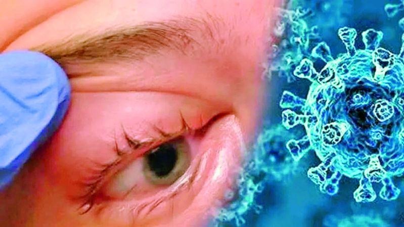 Mucorrhoea , vaccinations , Gujarat, Vadodara , health department sources