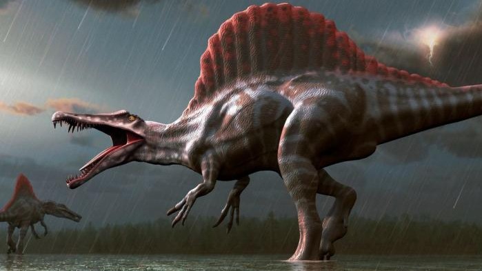 spinosaurid bunch, British theropod dinosaurs, Asia,  Africa, Fossil Hunters , Dinosaur Species