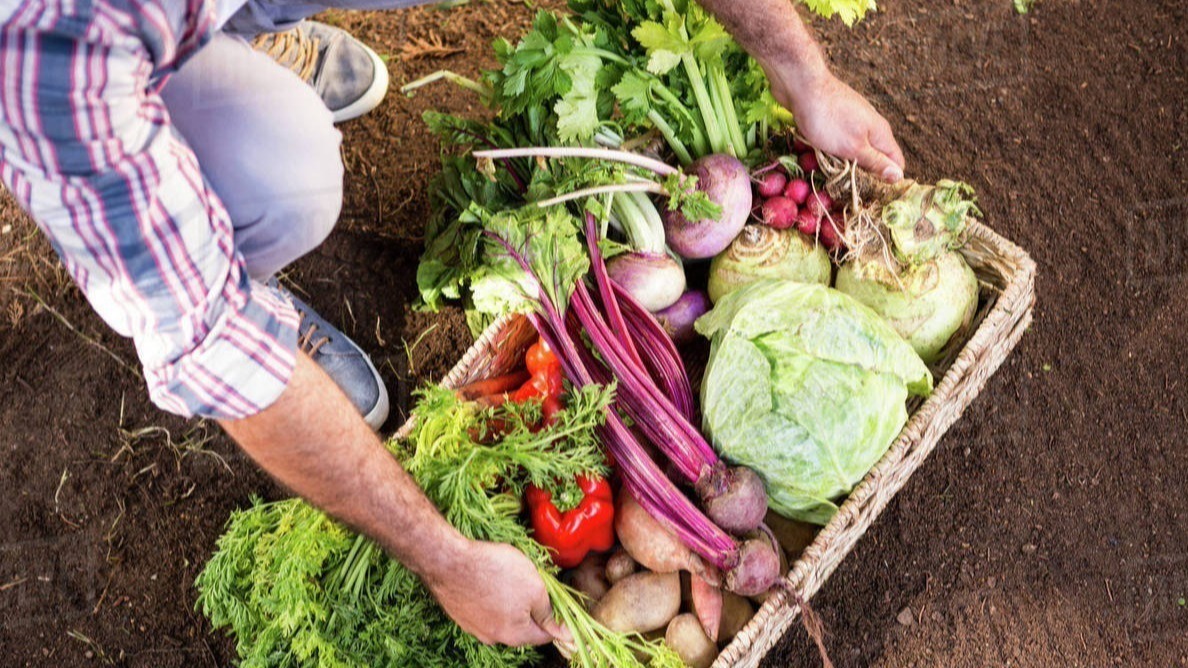 small business, business idea, village business, make money, small town business