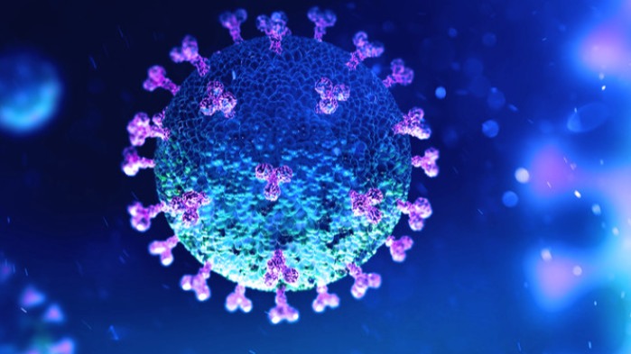 Omicron,  Covid-19,  SARS-CoV-2,  B cells,  Immune system