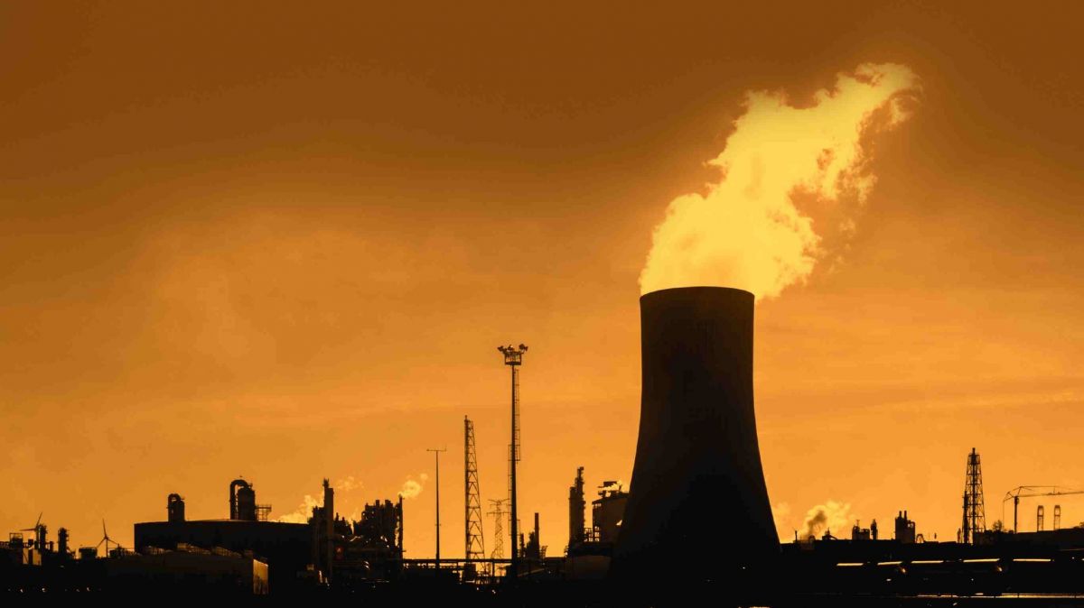 World , Nature , Climate Change , firms , green