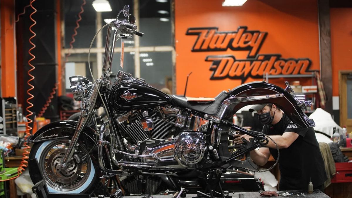 World , Business, EV startups , investigation , shares