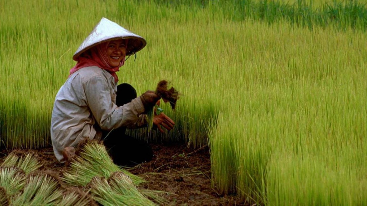 CRISPR&ndash;Cas9 technologies, World,  China, DNA , China's agriculture ministry, scientists