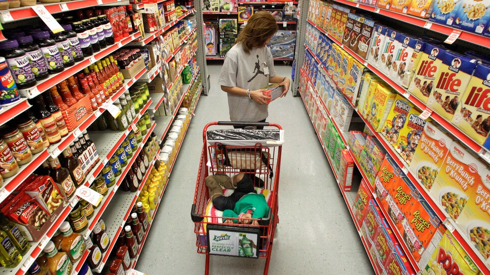 World , Business, Rodent , infestation , 400