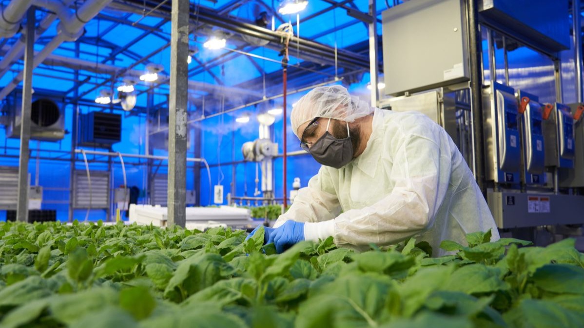 Covifenz vaccine,  Covid-19 Vaccine,  Plant-derived Covid-19 vaccine,  Canada,  Health Canada