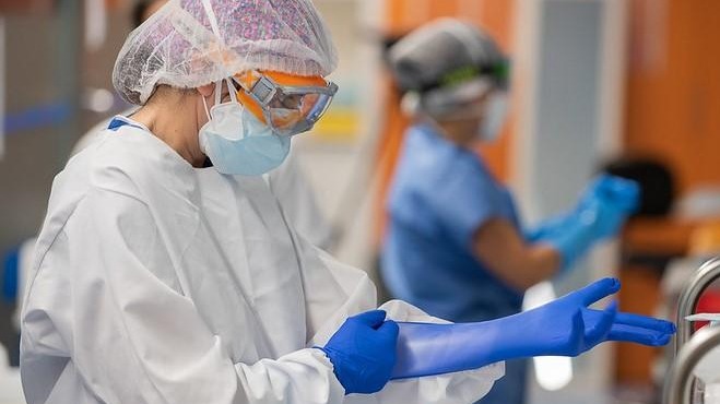 Covid-19,  The Covid-19 Pendimic,  Omicron,  United States,  Germany