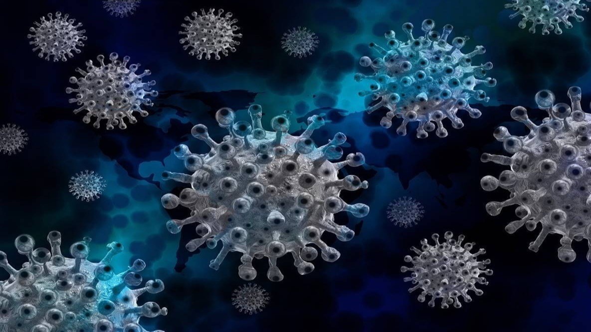 Oxford University,  Covid-19,  Coronavirus,  Gwenalle Douaud,  COVID symptoms