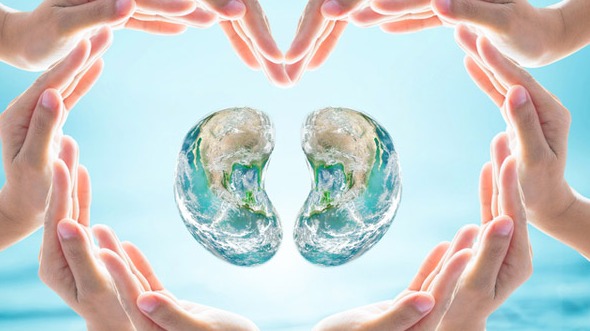 World Kidney Day, Avoid excessive salt,  red meat, Health , Lifestyle, world