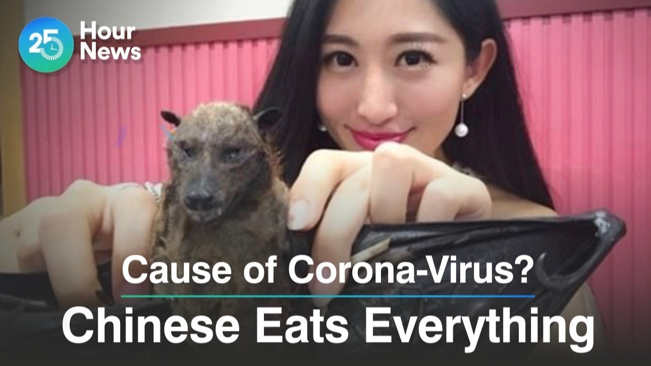 Avoir Images Corona Virus Does Animals Are To Blame For The Cause Of Corona Virus actualisé salutations