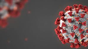 Covid-19,  Omicron,  WHO,  Hong Kong,  South Korea