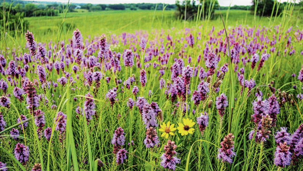 people, planet , nature,  nourishing , bodies , souls