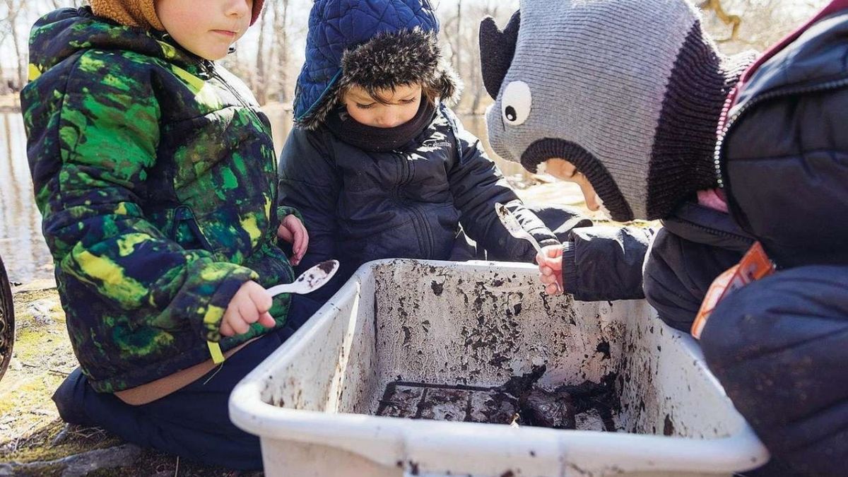 nature is the teacher, Seattle Environmental Association director of education, nonprofit , Little Peepers Forest Preschool, world,  Kayden Perry