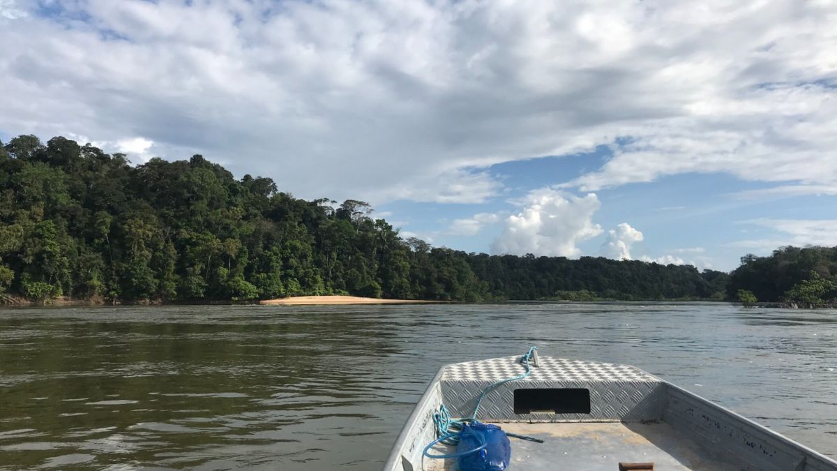 Dynamic rivers, river , nature, world, biologists , Amazon